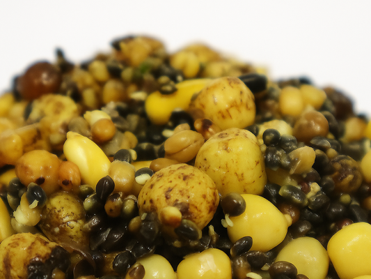 NuttiX - Partikelmix mit Hanf & Tigernüssen