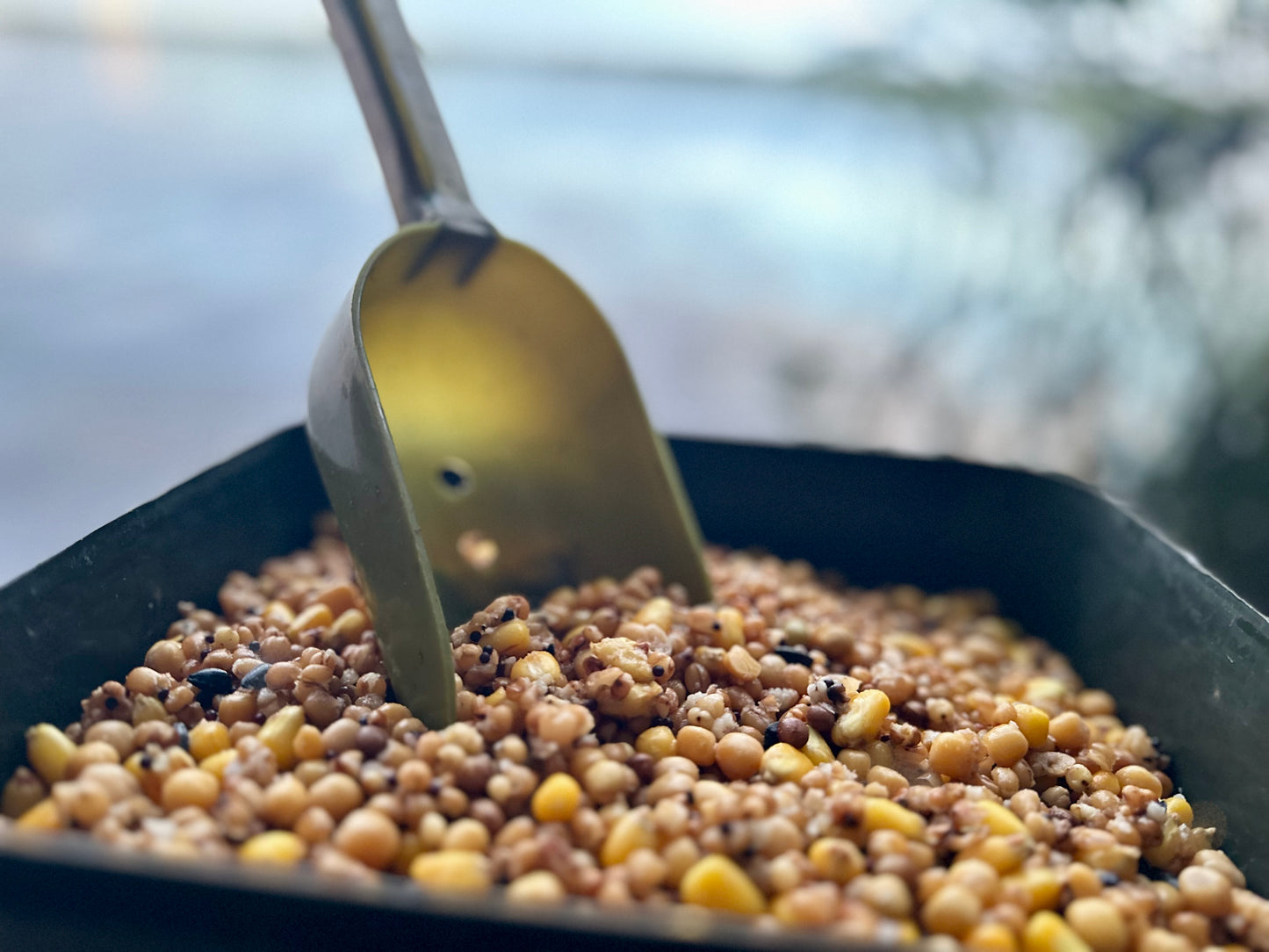 EcoFeed - der klassische Partikelmix