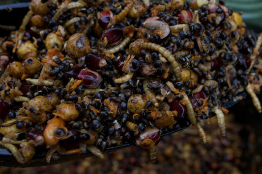 RichMix - dein individueller Partikelkonfigurator