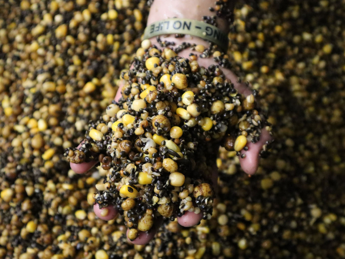 NuttiX - Partikelmix mit Hanf & Tigernüssen