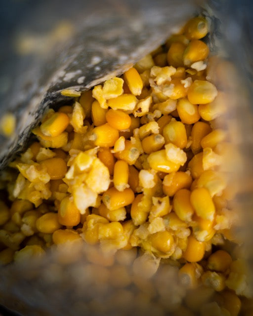 Gekochter gelber Mais - Corn