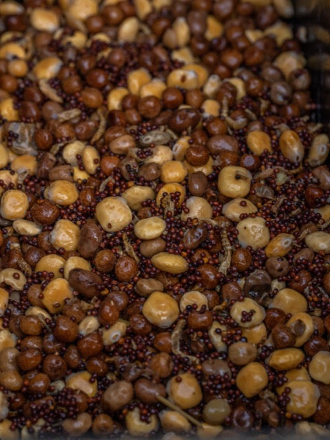 Proteinbomb - Partikelmix mit natürlichen Aminosäuren
