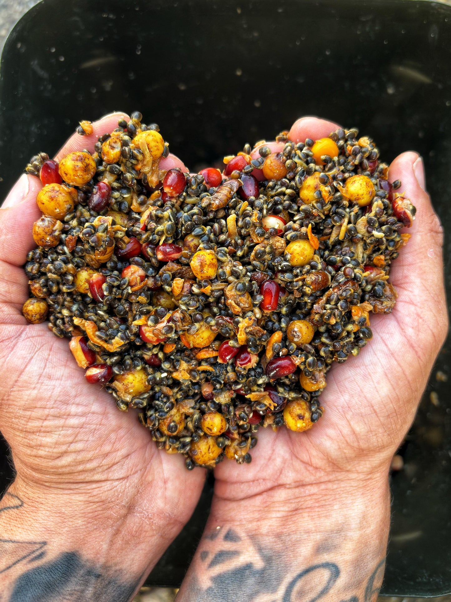 RichMix - dein individueller Partikelkonfigurator