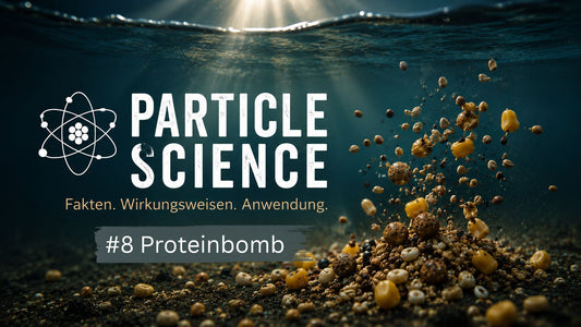 Particle Science #8