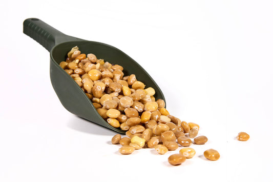 Gekochte Bio Süßlupinen