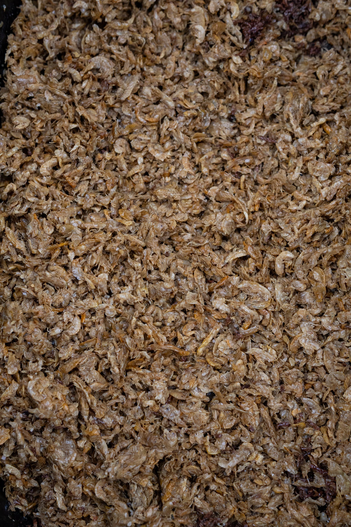 Gekochte Gammarus (Bachflohkrebse) - PURE NATURALZ