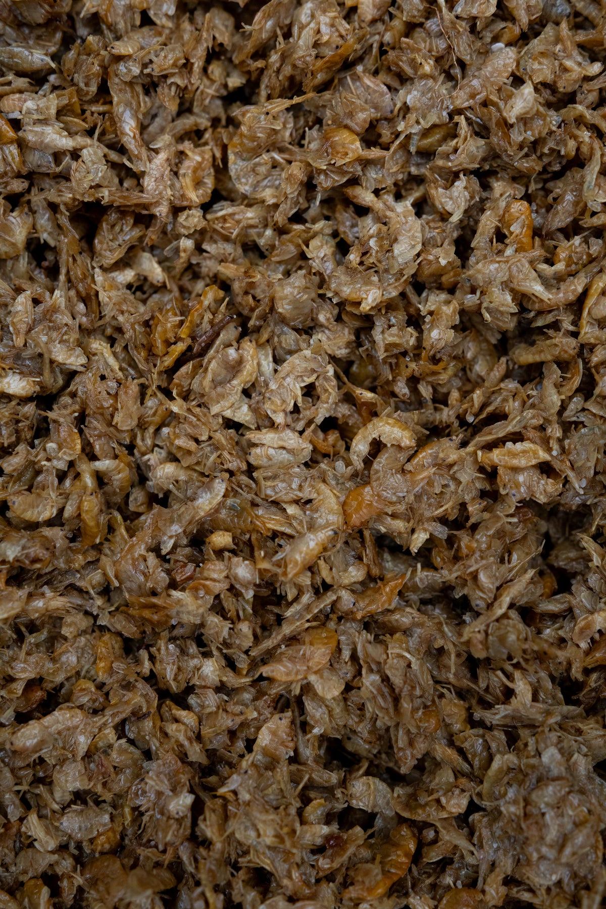 Gekochte Gammarus (Bachflohkrebse) - PURE NATURALZ