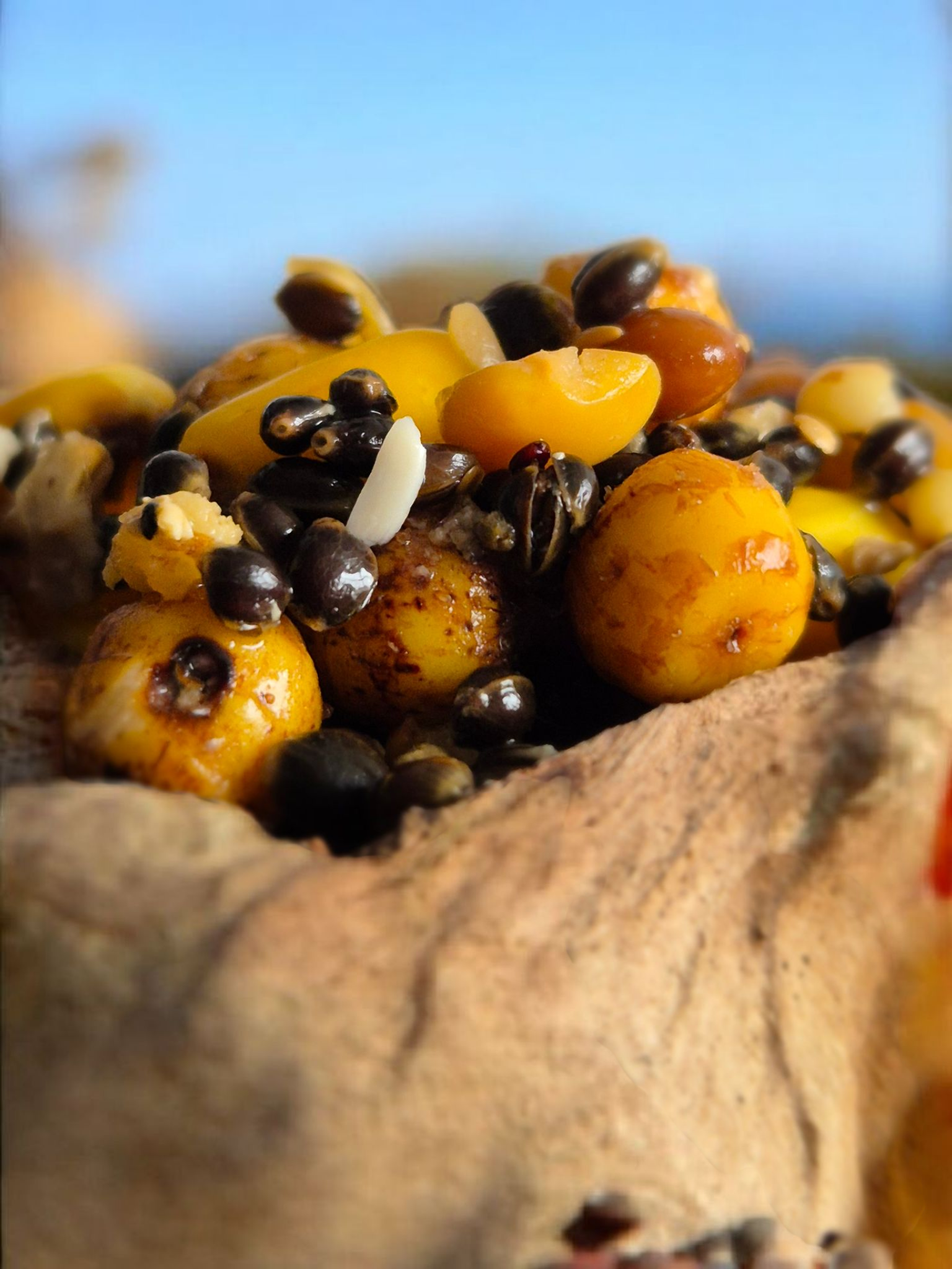 Partikelmix mit Hanf und Tigernüssen