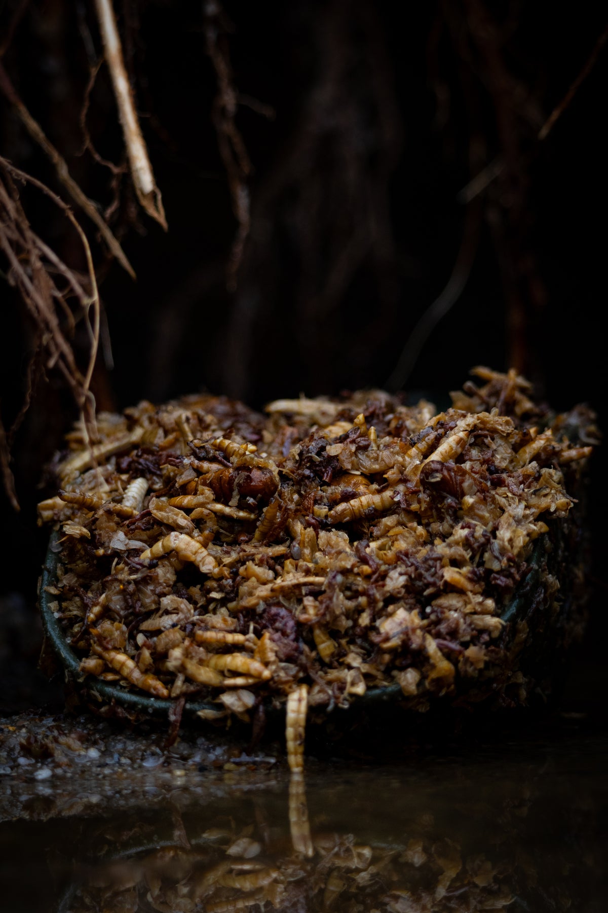MIXED PURE NATURALZ - tierischer Premium Mix