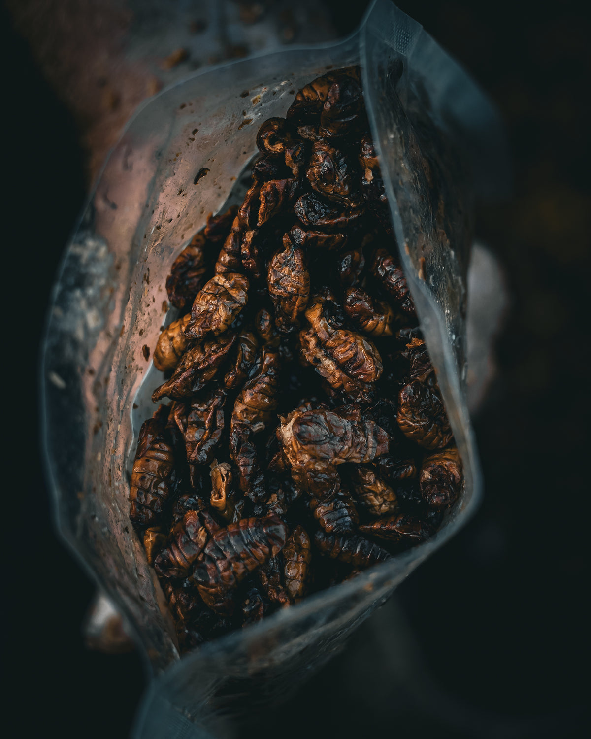 Cooked Silkworms - PURE NATURALZ