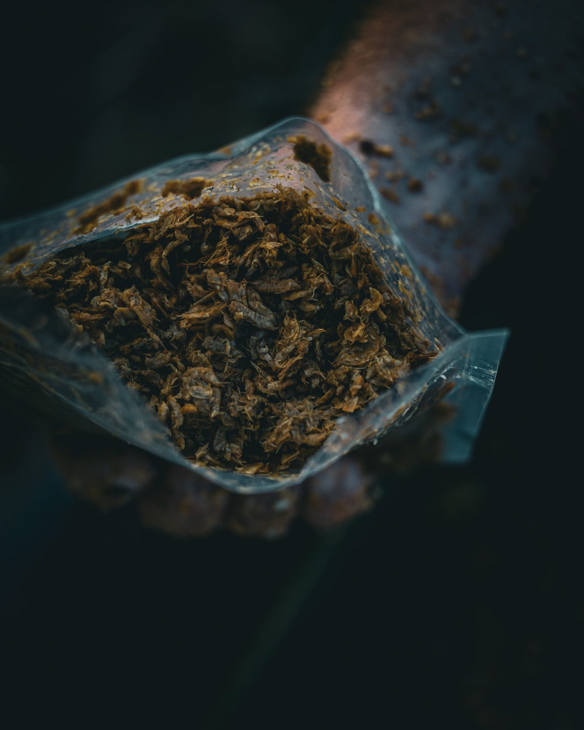 Gekochte Gammarus (Bachflohkrebse) - PURE NATURALZ