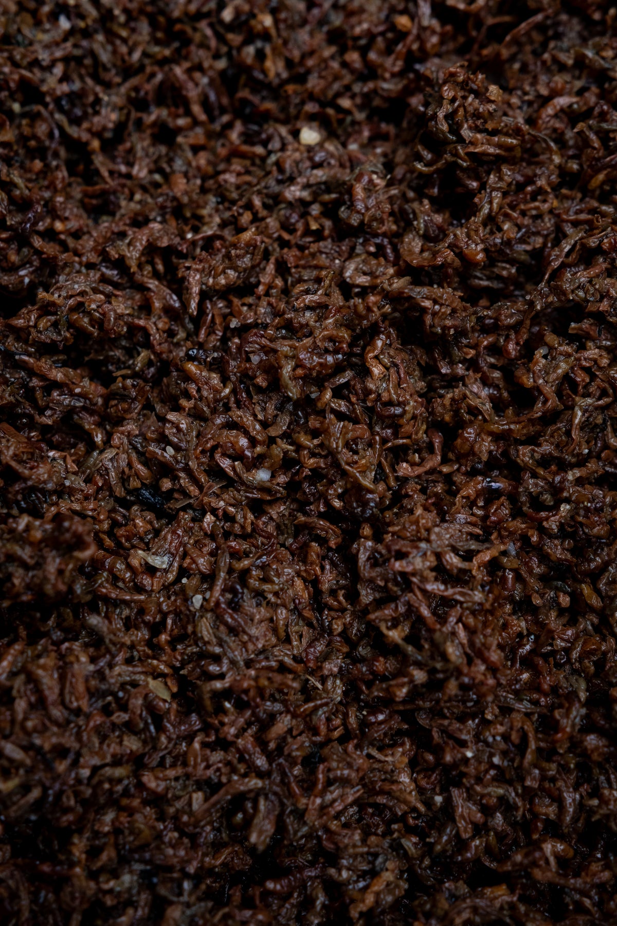 Gekochte Zuckmückenlarven (Bloodworm) - PURE NATURALZ