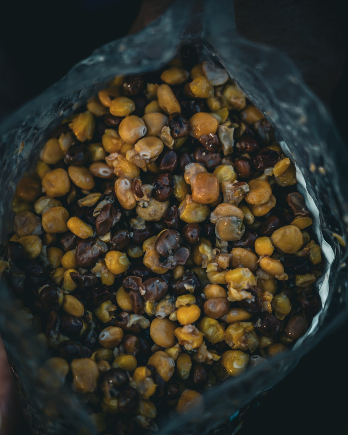 Corn & Beans – ausgewogener Kohlenhydrat-/Proteinmix