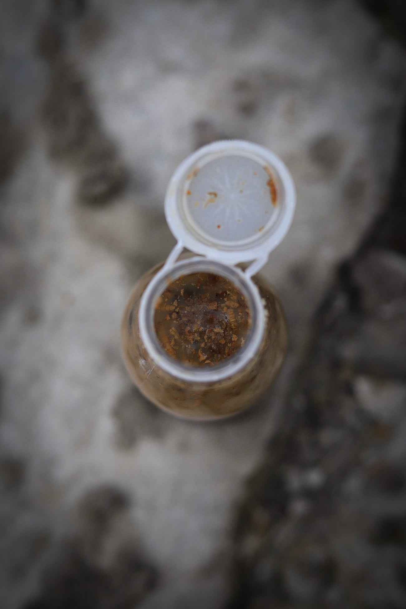 PURE NATURALZ - Liquid Food