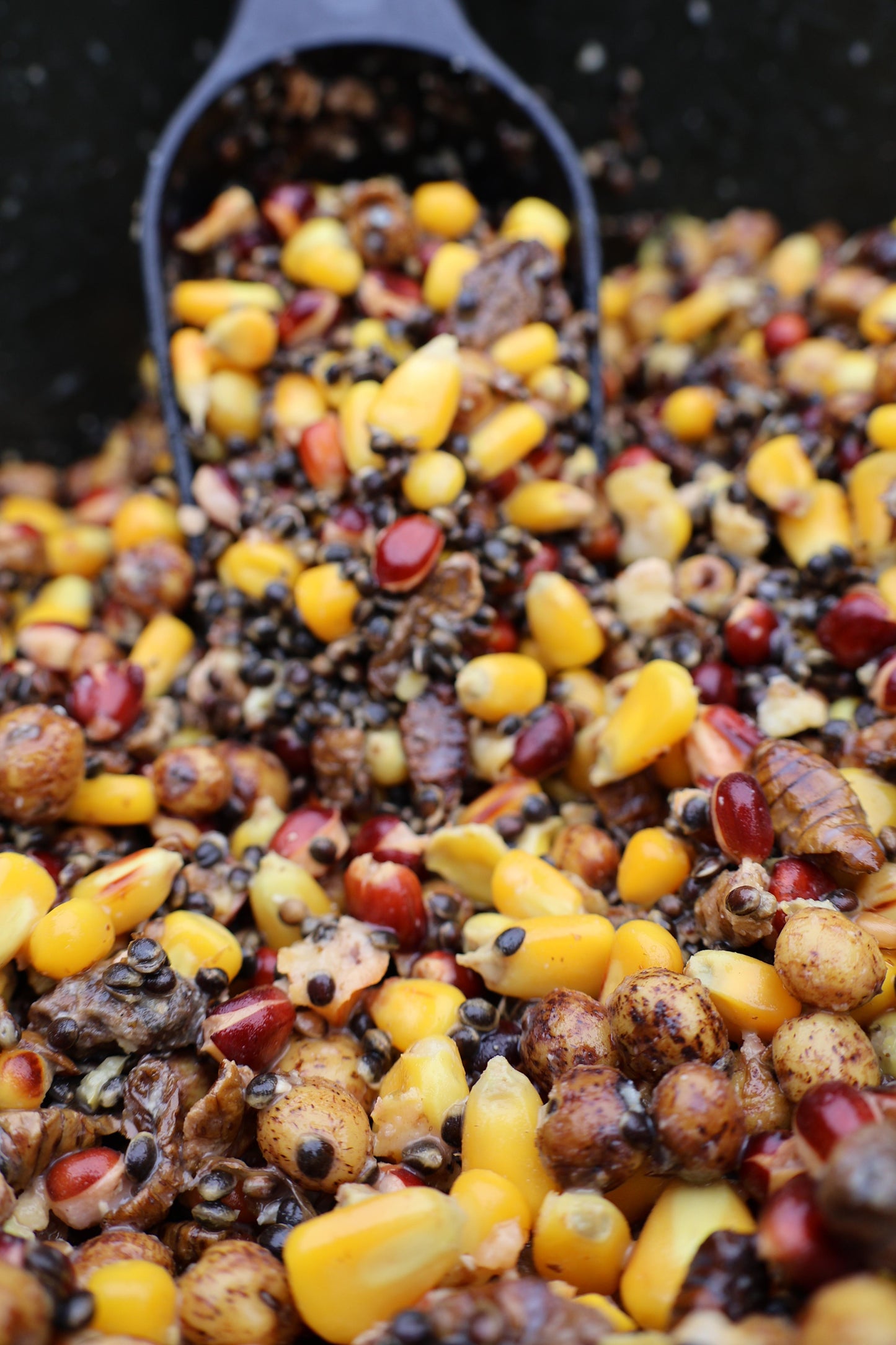 MultiStim Insect - Partikelmix mit Seidenraupen