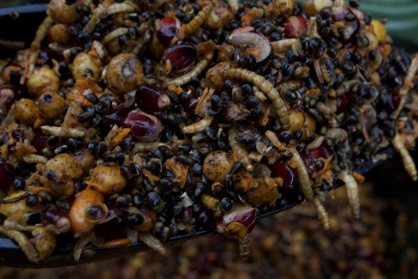 RichMix - dein individueller Partikelkonfigurator