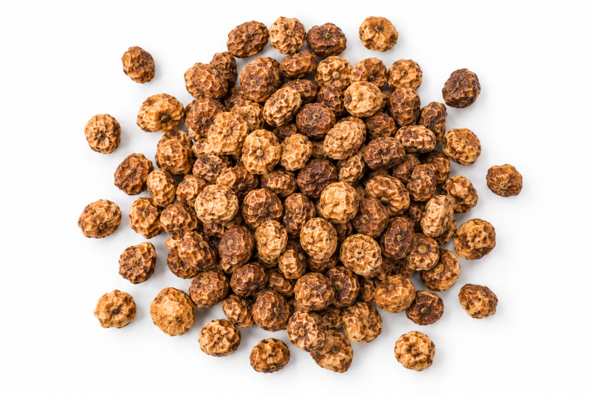 Tigernüsse / Tigernuts - trocken & ungekocht