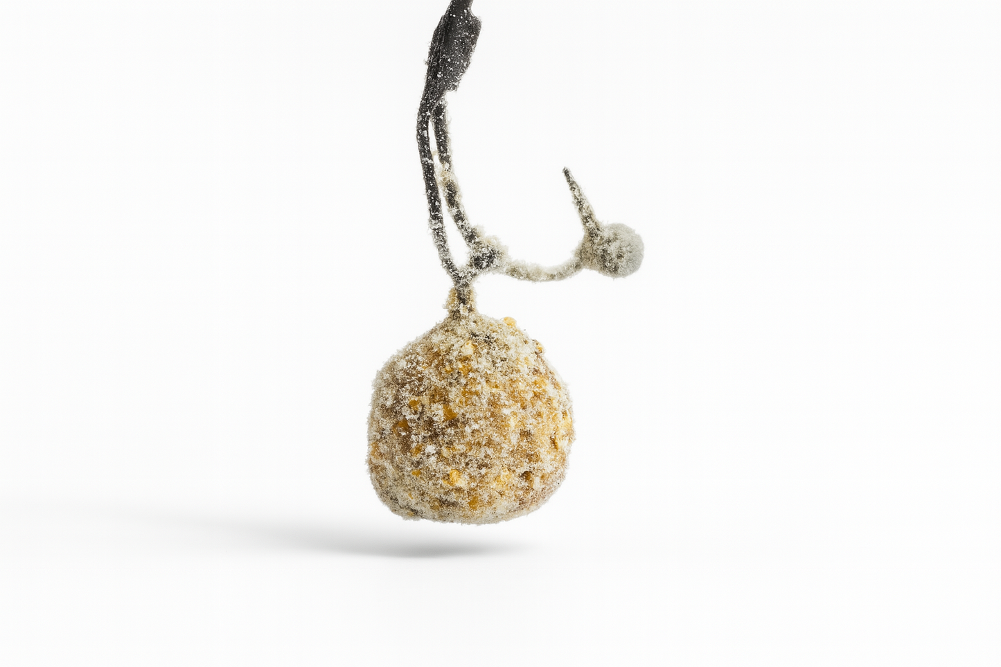 EntoCoat - Hookbait Coating mit Insekten