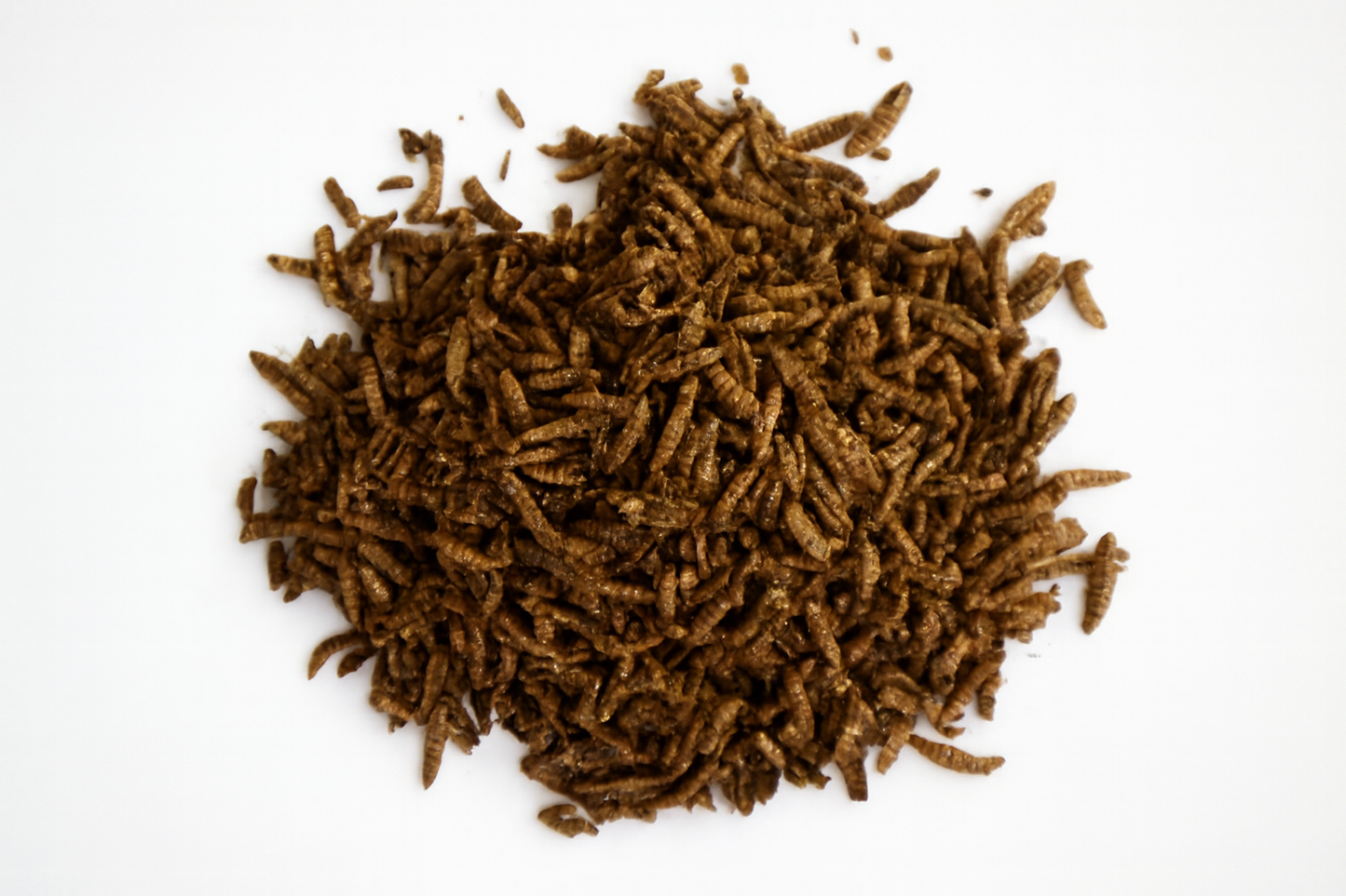 Варени брашнени червеи - PURE NATURALZ