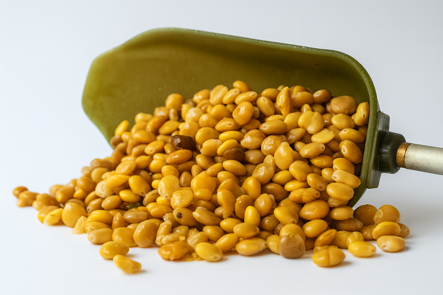 Gekochte Bio Süßlupinen