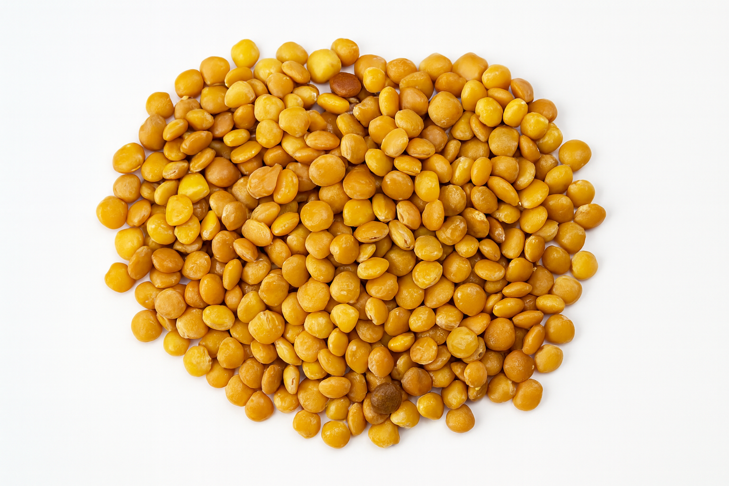 Gekochte Bio Süßlupinen