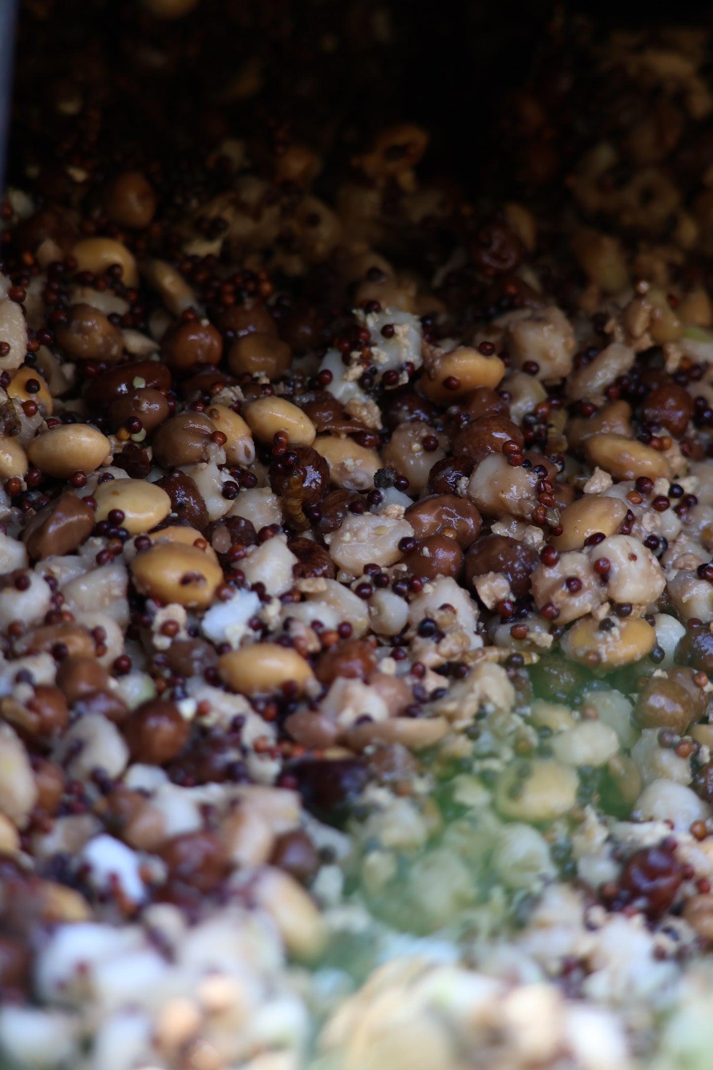 Proteinbomb - Partikelmix mit natürlichen Aminosäuren