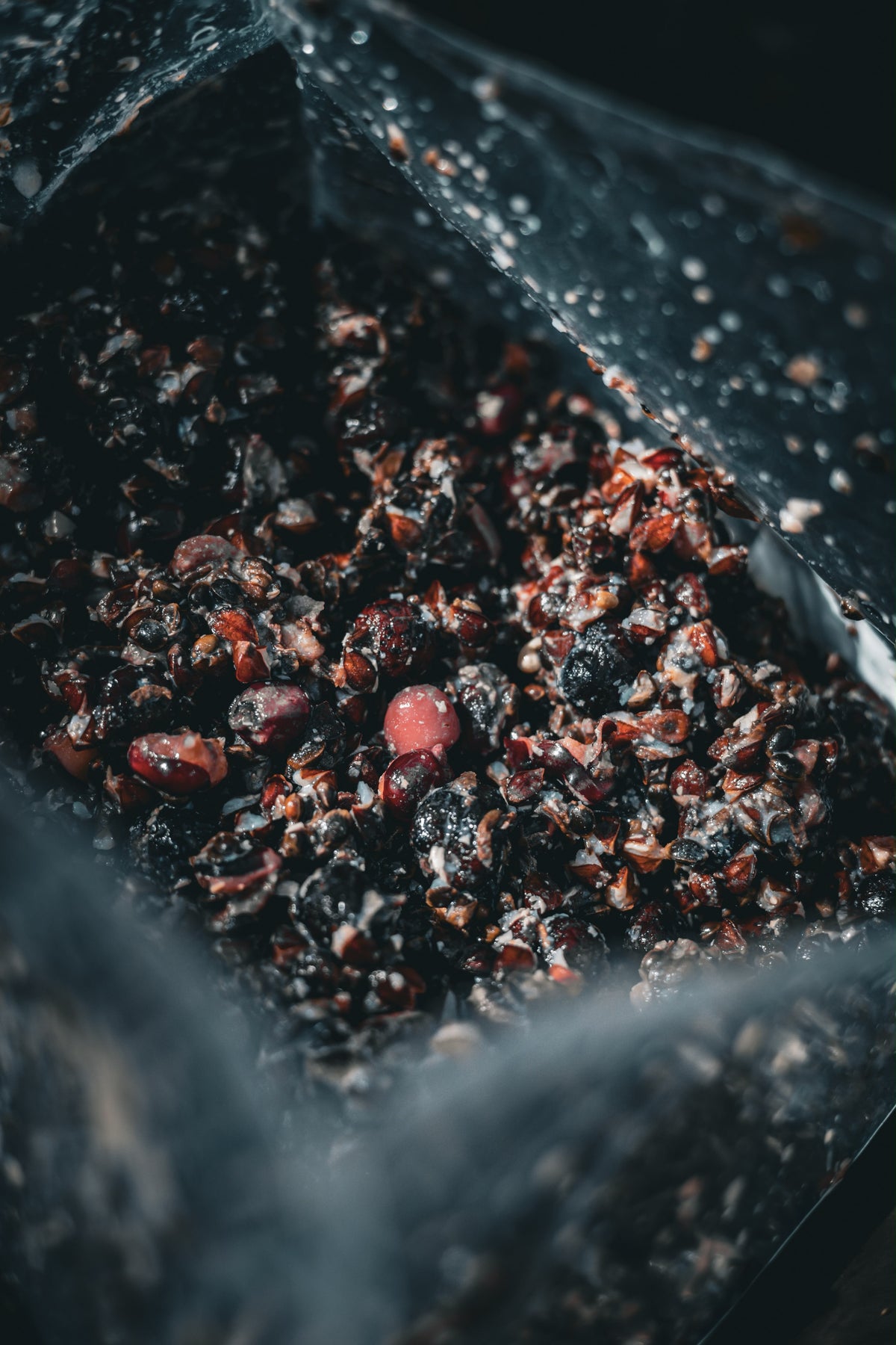 Darkmatter - dunkler Premium Mix mit Zuckmückenlarven