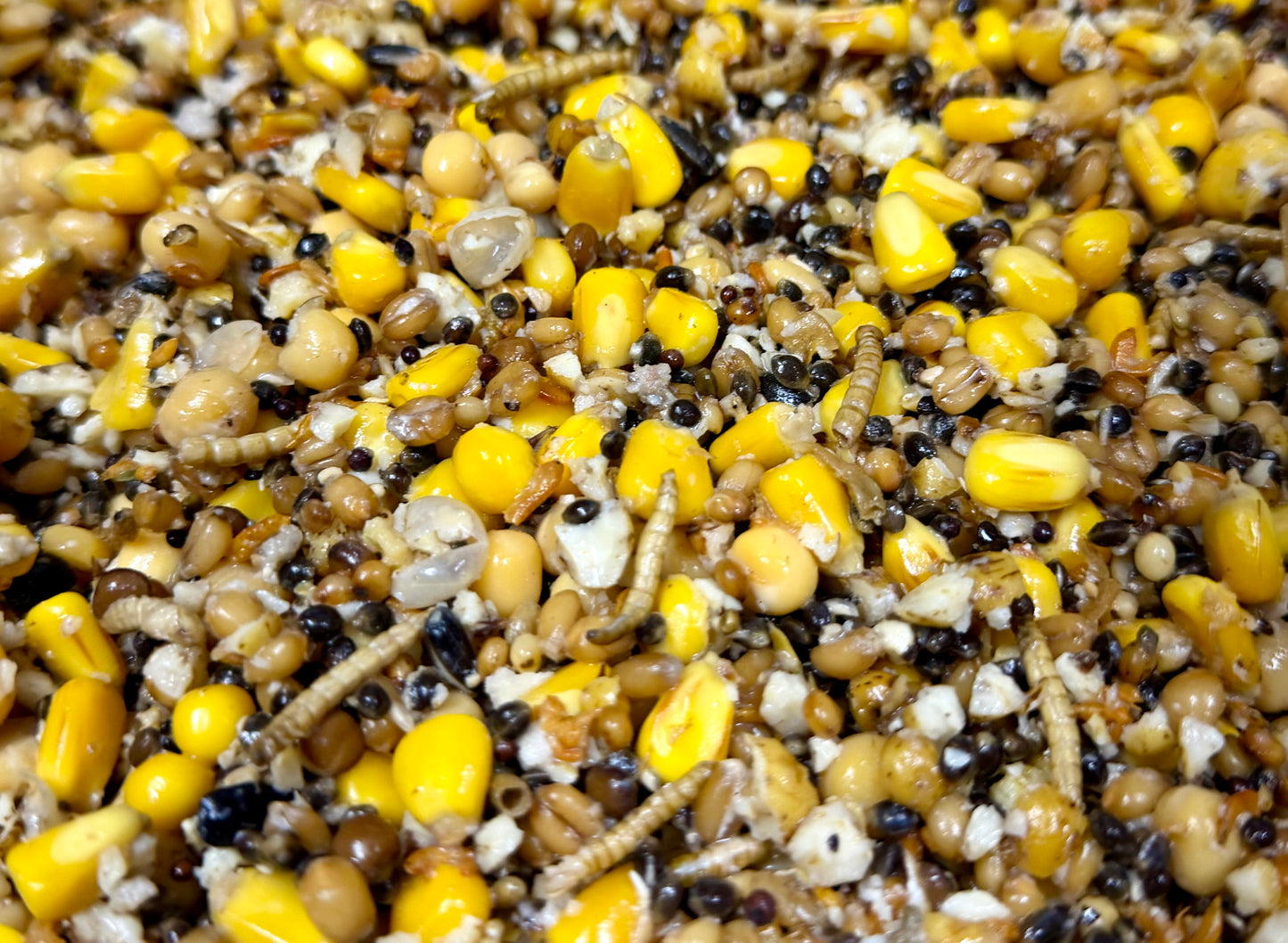 MaxAction - Premium-Partikelmix mit Insekten