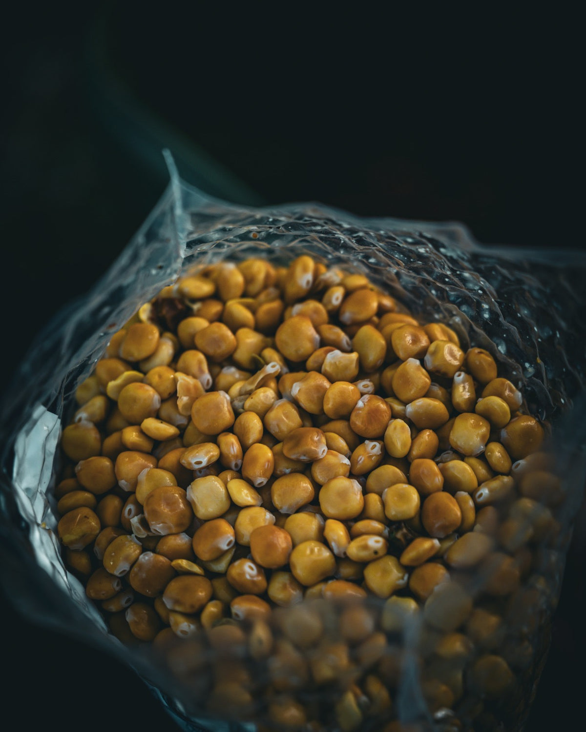 Gekochte Bio Süßlupinen