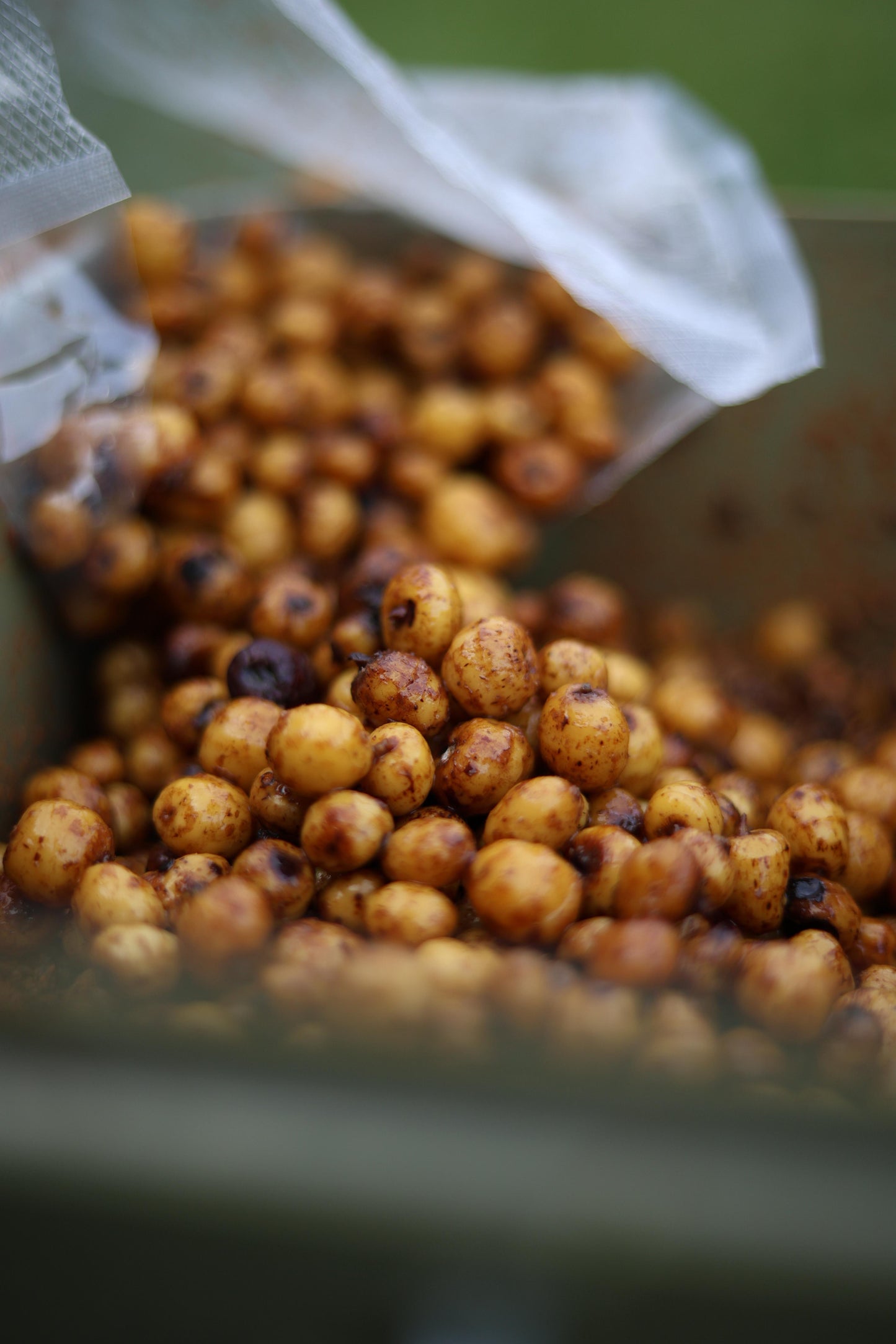 Gekochte Tigernüsse - Tigers