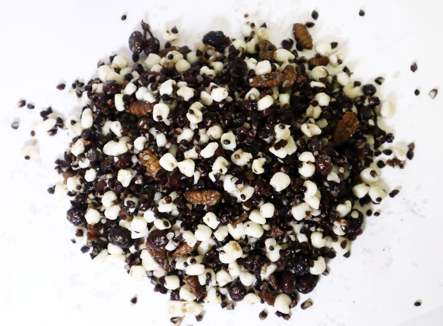 Black+White - Partikelmix mit Seidenraupen