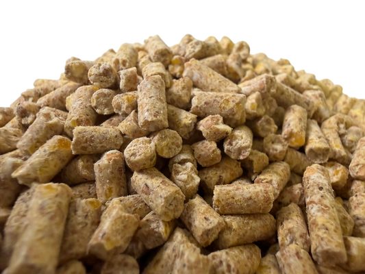 Particle Pellets mit Betain in 3,5mm