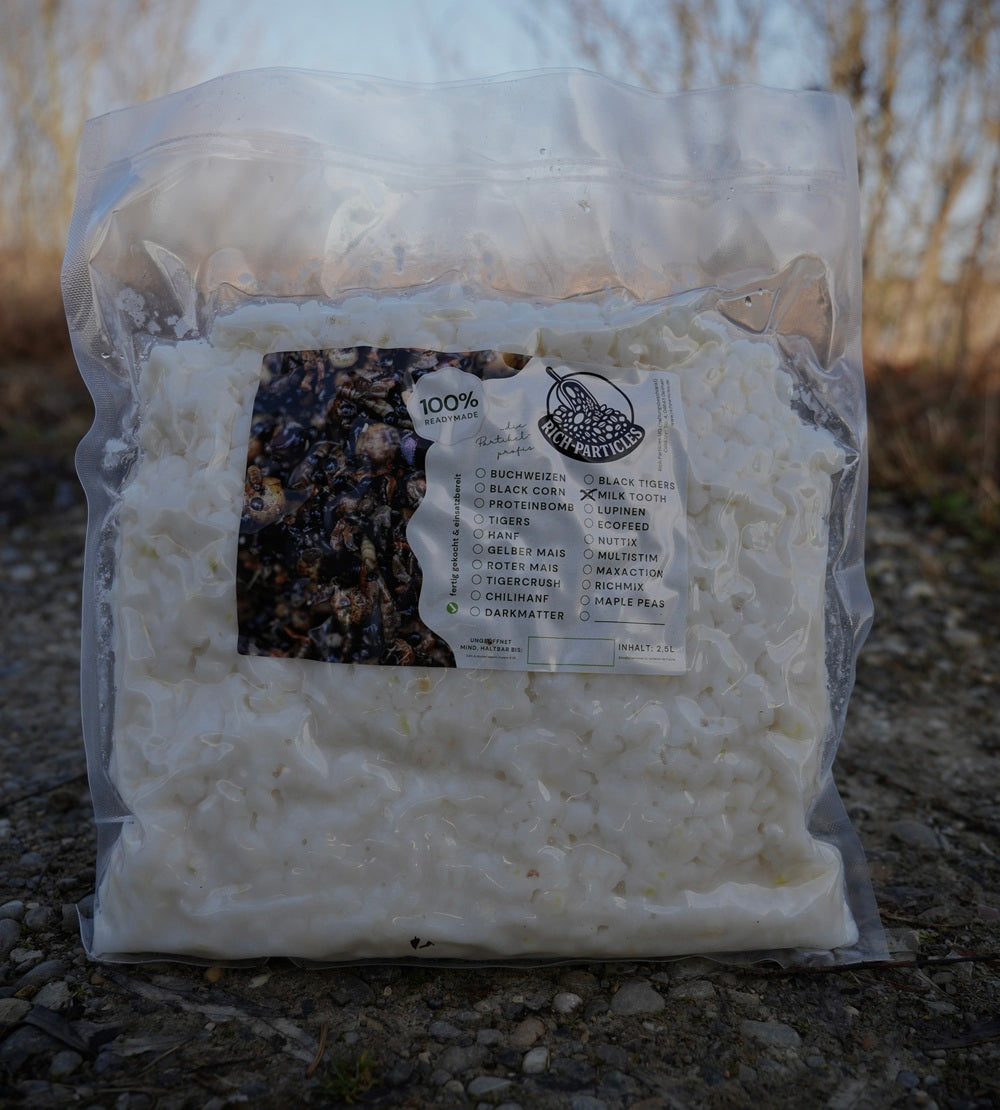 Gekochter weißer Mais - Milk Tooth Maiz
