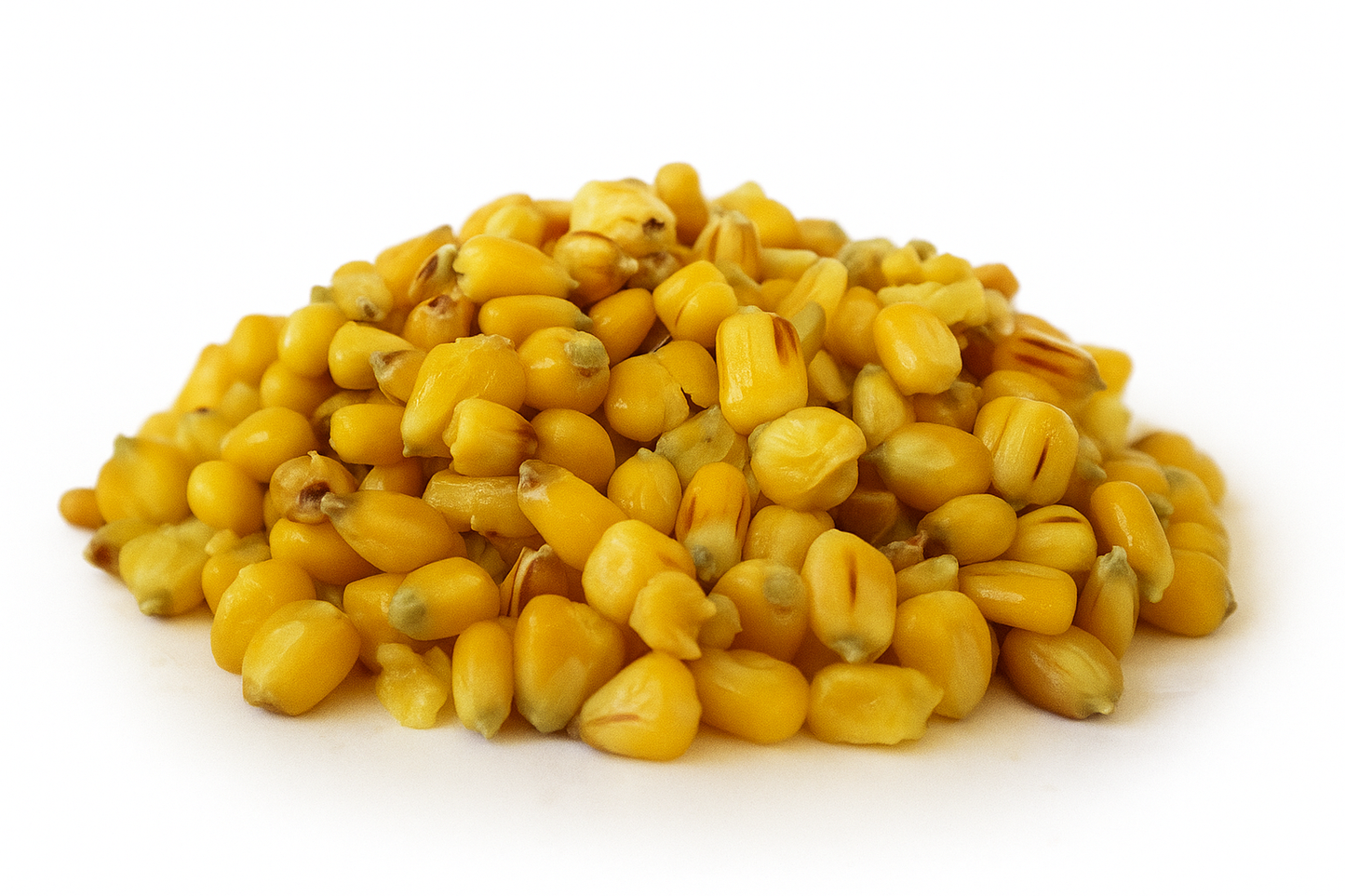 Gekochter gelber Mais - Sweet Corn