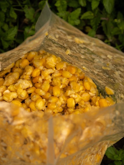 Gekochter gelber Mais - Corn