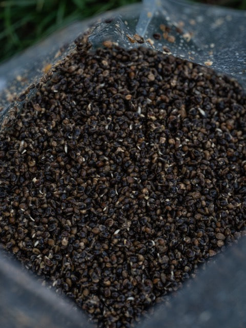 Gekochter Hanf - Hemp