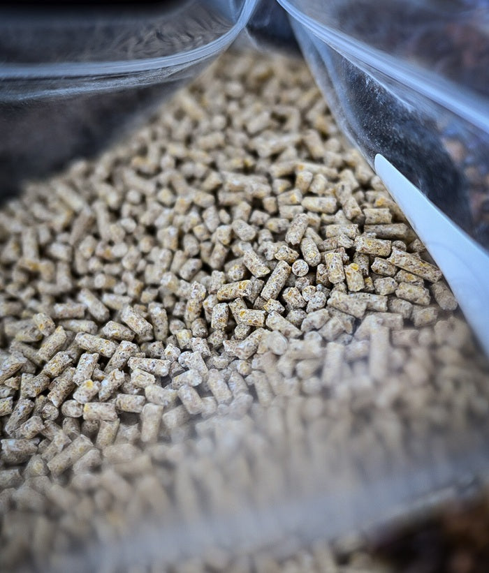 Particle Pellets mit Betain in 3,5mm